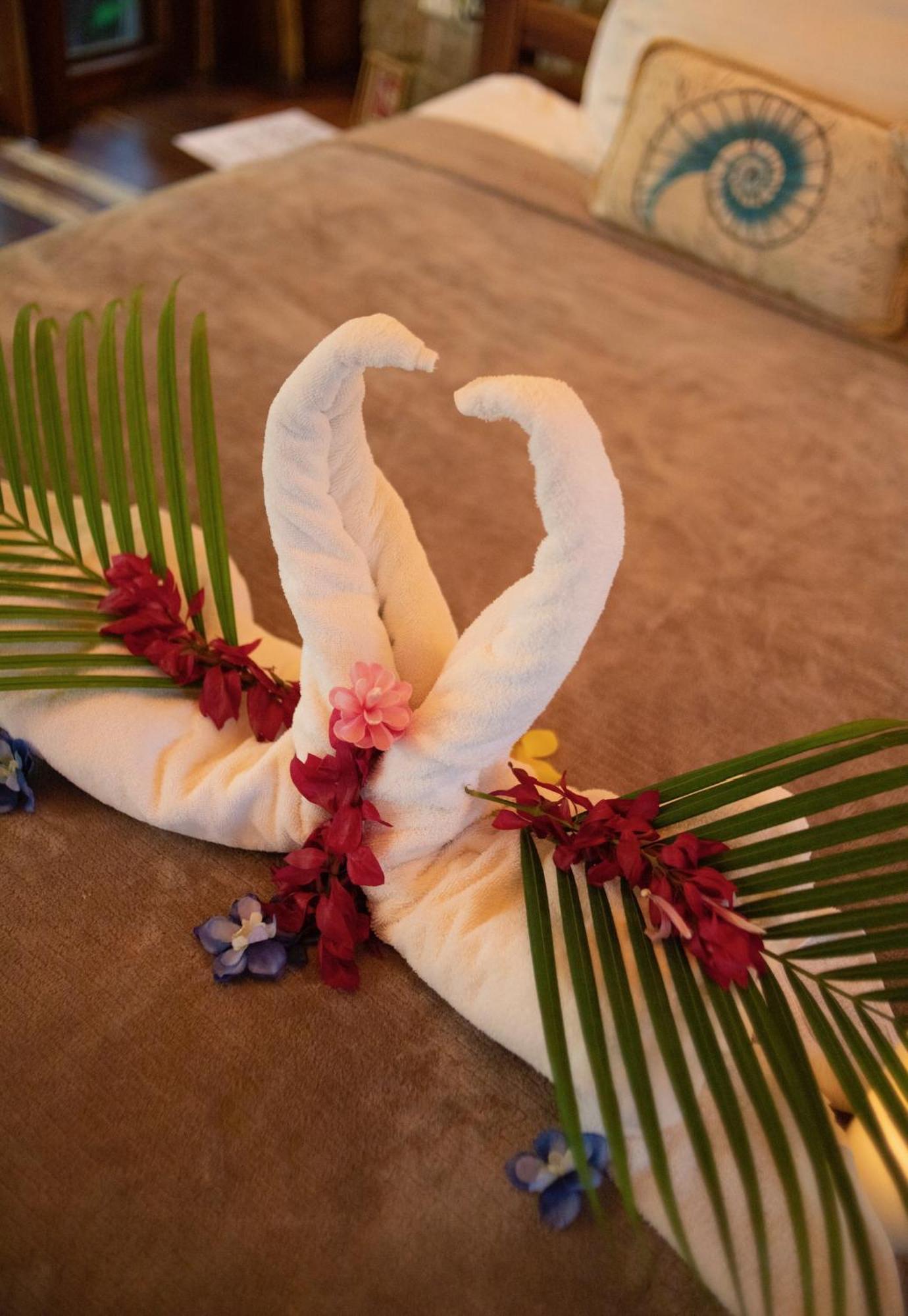 Ocho Artisan Bungalows (Adults Only) Tamarindo Ngoại thất bức ảnh